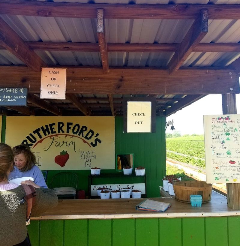 The Farmer And Staff Who Make Every Visit Feel Personal