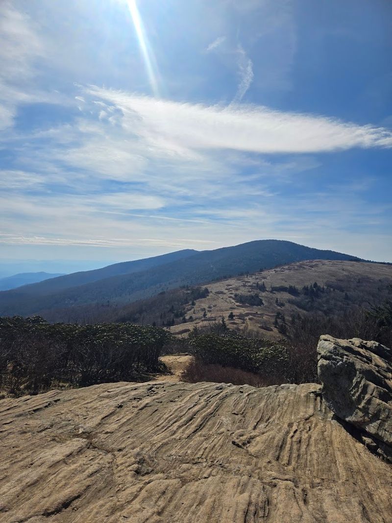 Roan Mountain State Park, Roan Mountain