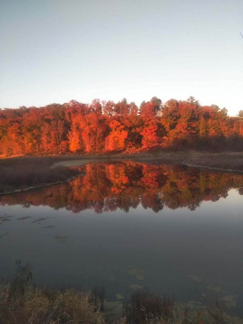 The Cool, Dripping Tunnel Experience