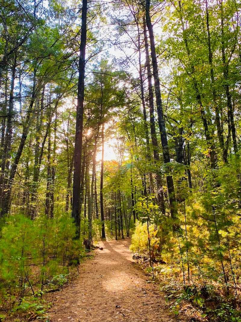 Why This Small Park Earns Its 4.6-Star Reputation