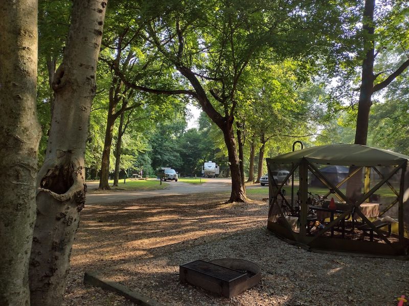 Camping Inside A Major City Is Rarer Than You Think