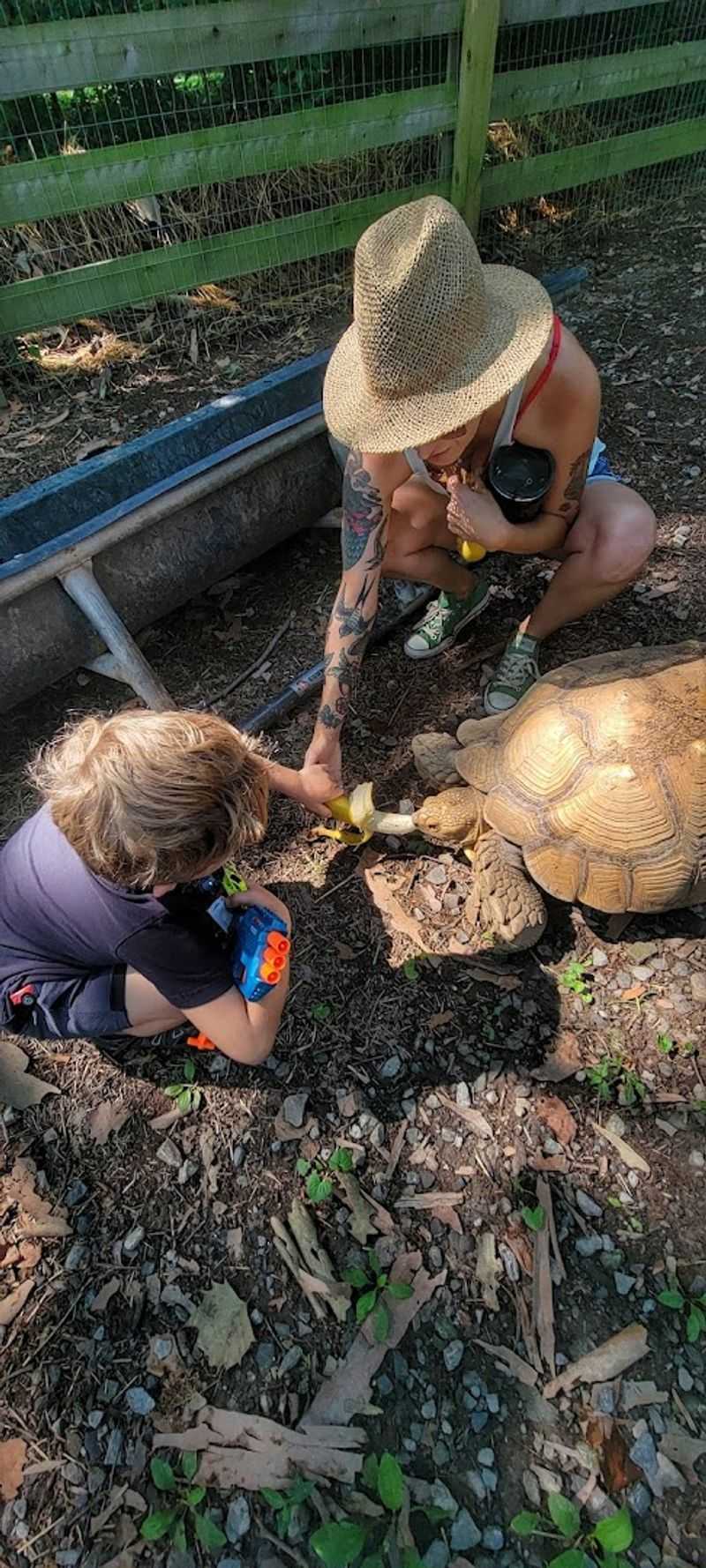 The Lasting Impact Of A Visit To Piccolo Farms