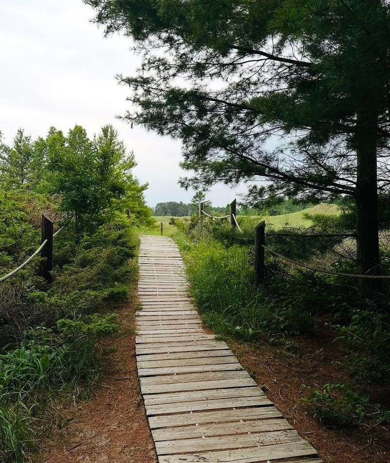 Kohler-Andrae State Park
