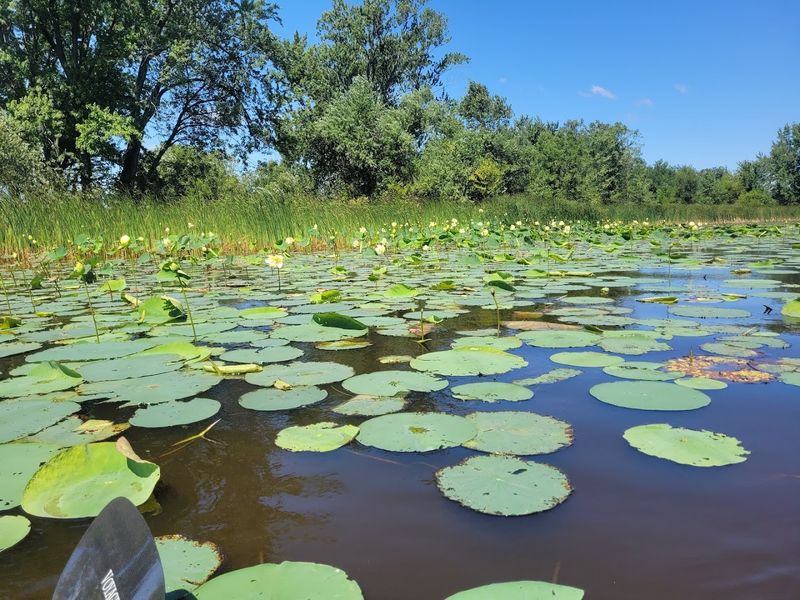 The Area Is Great For Birdwatching And Wildlife Spotting