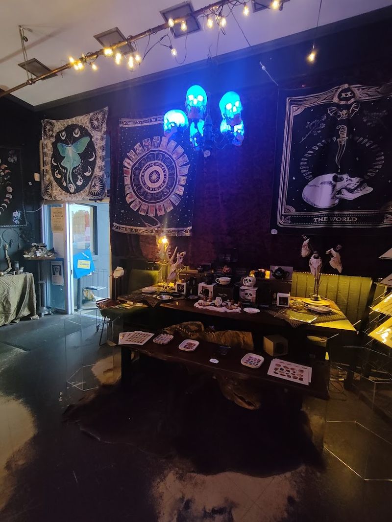 Insect Pinnings And Entomology Art Pieces