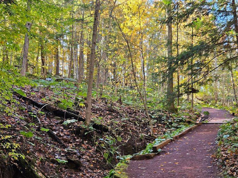 The Trails Are Easy Enough To Enjoy And Interesting Enough To Remember