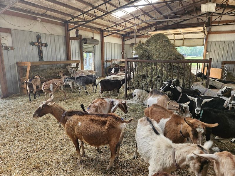 The Farm Tour That Teaches You Something New
