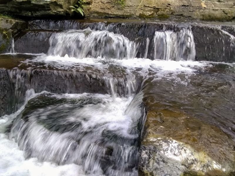 Lake Champlain Birding Trail