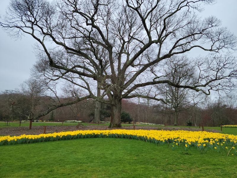 Every Season Offers A Completely Different Experience