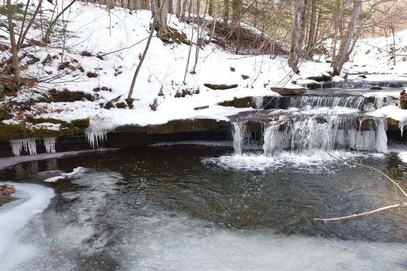 Seasonal Visits And How The Preserve Changes Throughout The Year