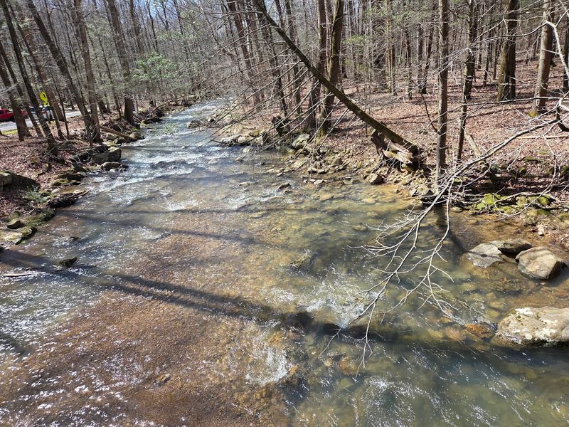Frozen Head State Park, Wartburg