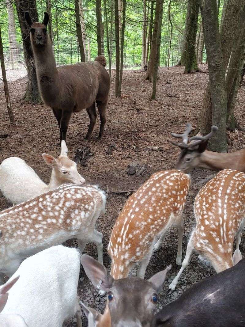 Tips For Getting The Most Out Of Every Cup