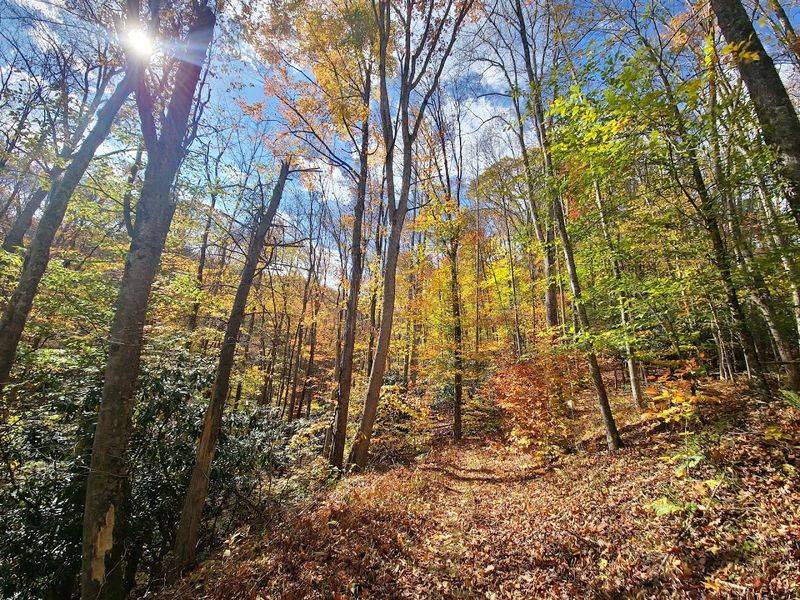 Hiking Trails That Suit Every Pace And Skill Level