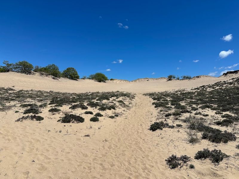 Sand Dunes That Shape The Whole Atmosphere