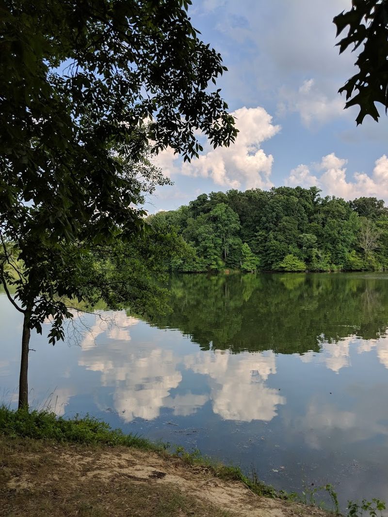 Wildlife Watching That Rewards Patience