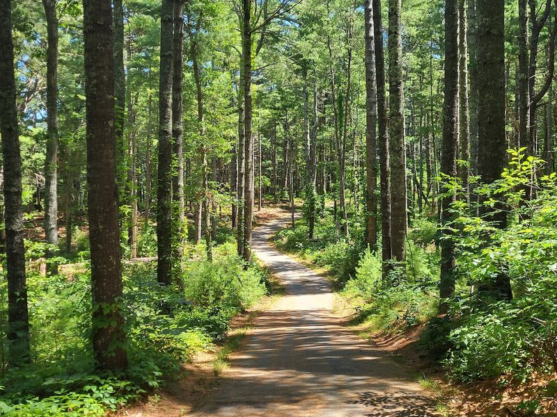 Biking Trails That Take You Through The Heart Of Cape Cod