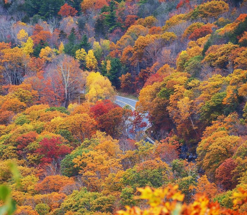 Fall Foliage And The Season That Makes Everything Glow