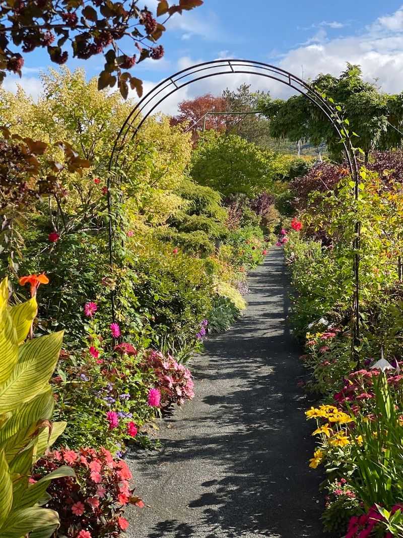 Bridge Of Flowers