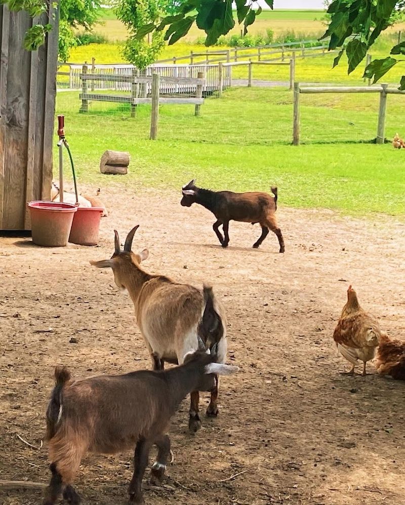 Seasonal Events And Community Gatherings