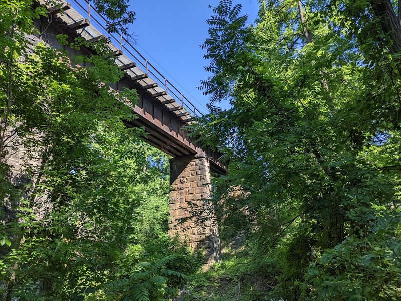 The Fall Brook Railroad And The Iron Age It Carried