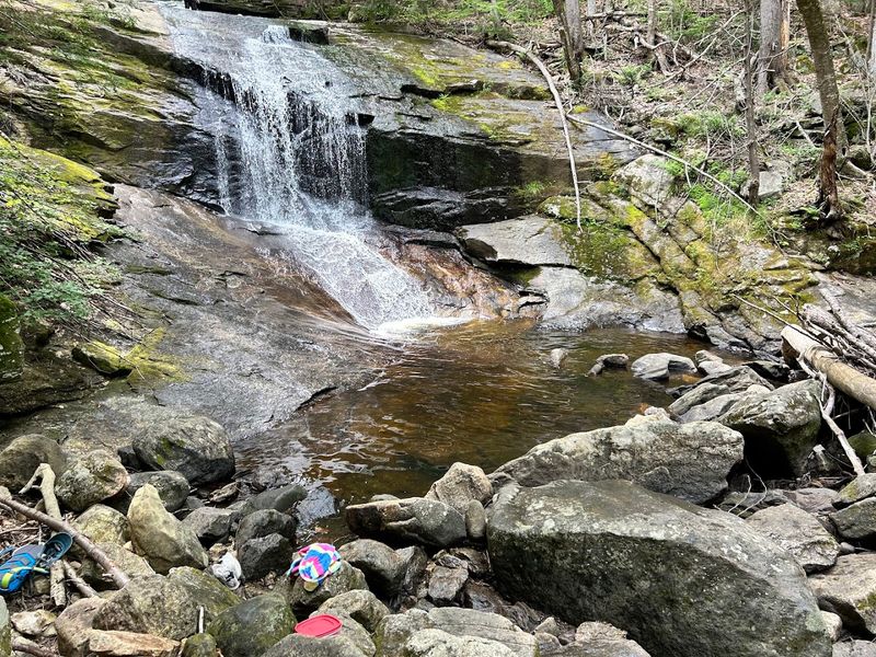 Chapel Brook Reservation, Ashfield