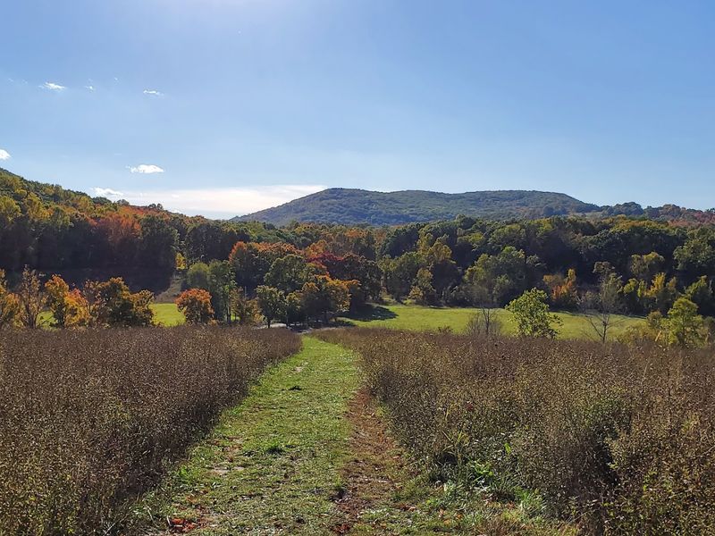 Schunnemunk Meadows Trail - Schunnemunk State Park (Hudson Highlands)