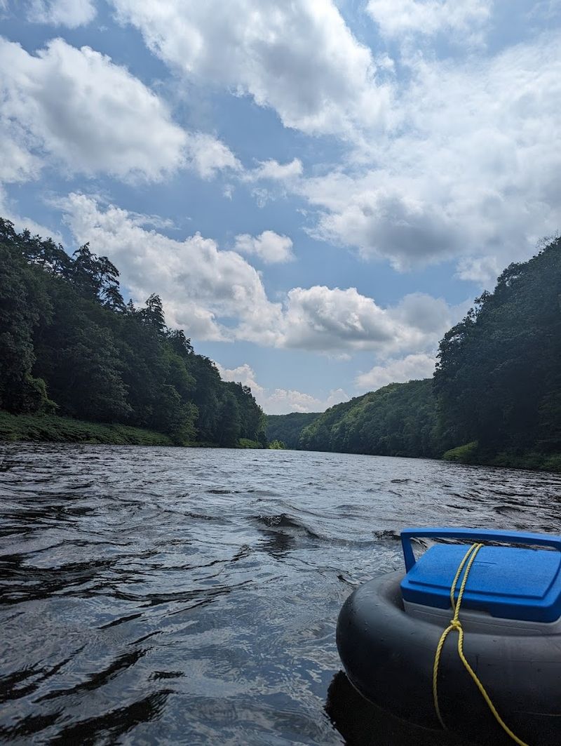Wildlife Along The River That Will Genuinely Surprise You