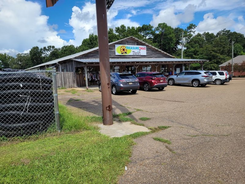 Treasure Tails Thrift Store Hattiesburg Mississippi
