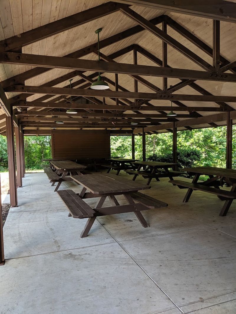 Picnic Areas Perfect For A Full Family Afternoon Out