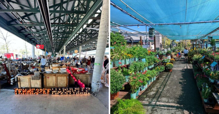 Clear Your Calendar Because This Massive Year-Round Market In Tennessee Deserves A Full Day