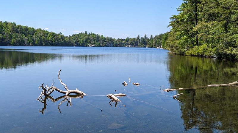 Water So Clear It Seems Almost Unreal