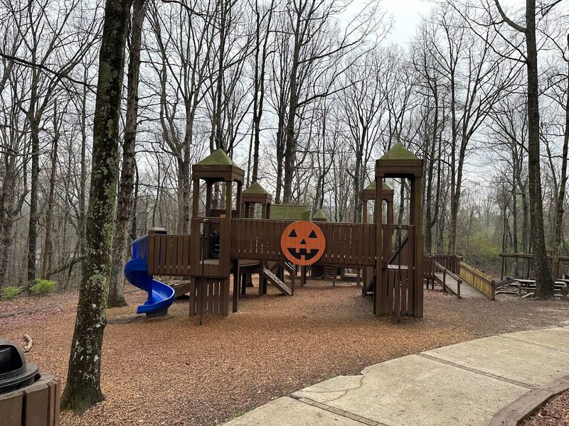 Walking Bridges That Make The Whole Place Feel Like An Expedition
