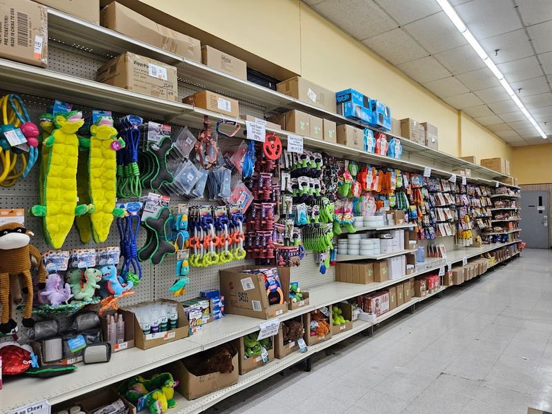 Pet Supplies And Garden Products Worth Checking Out