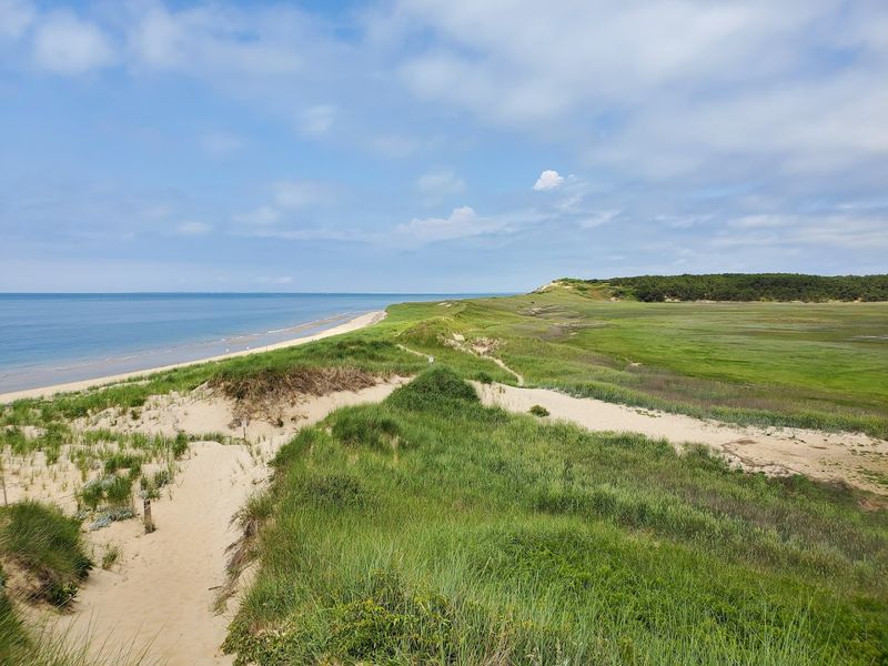 Great Island Trail, Wellfleet