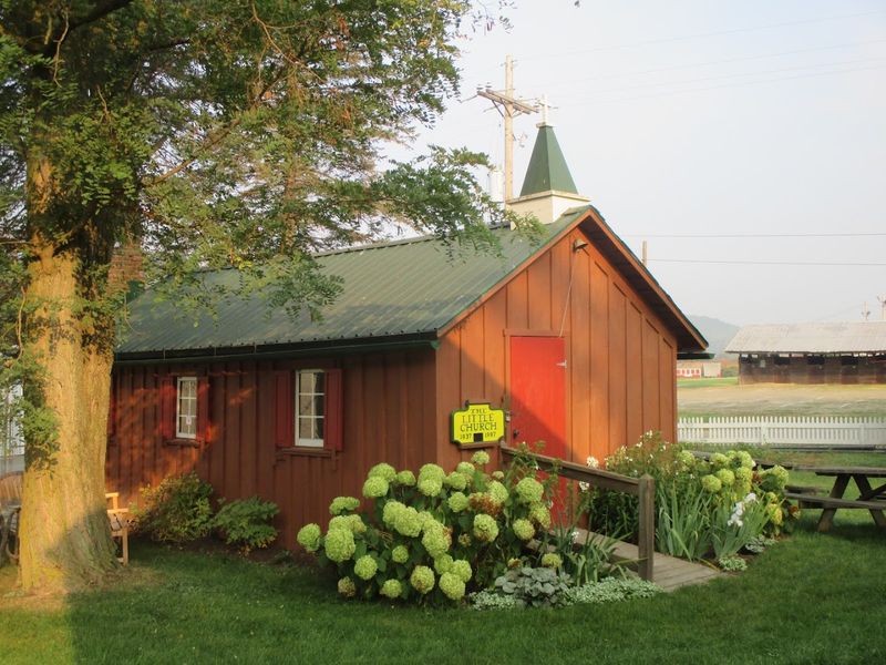 Preservation Of Heirloom Seeds And Plant Varieties