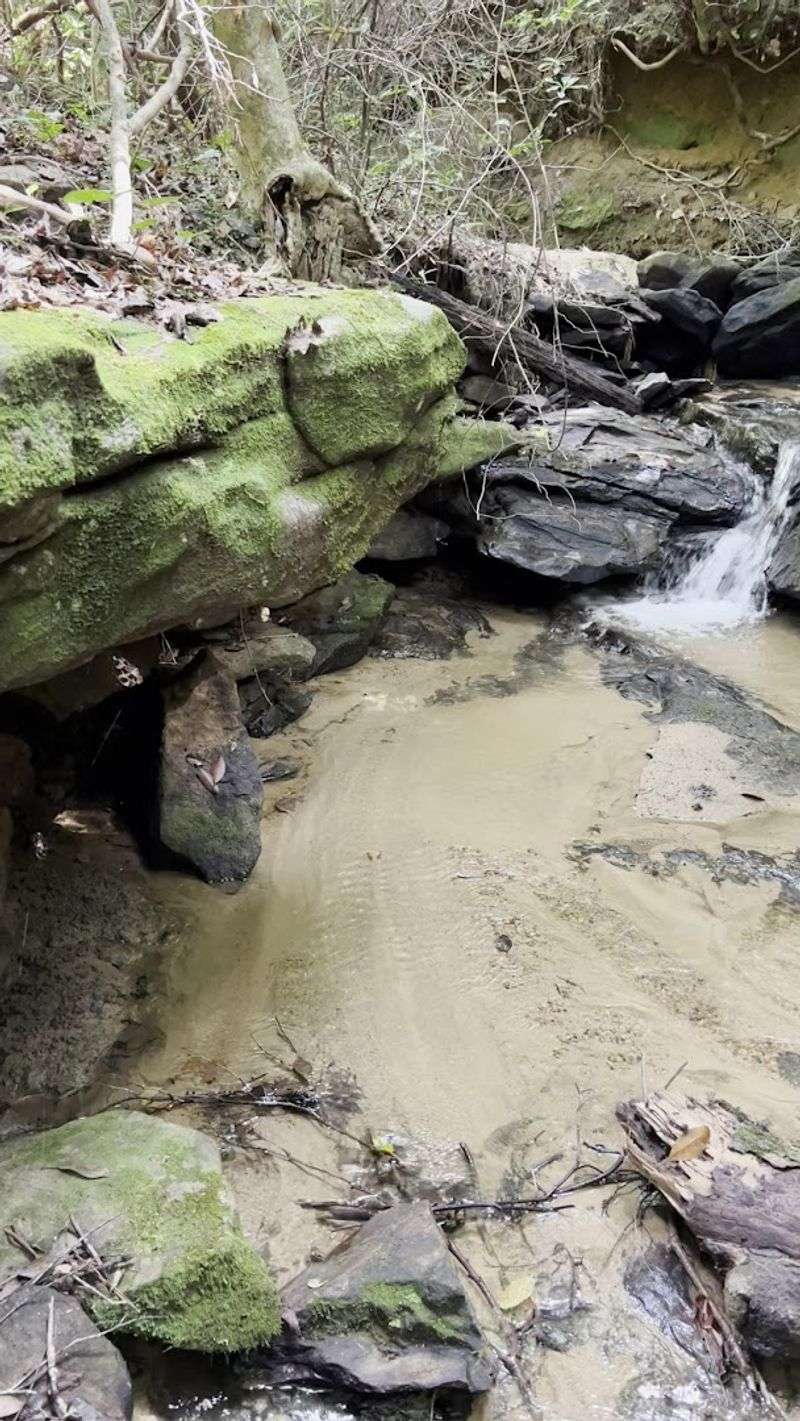 Nearby Picnic And Relaxation Areas