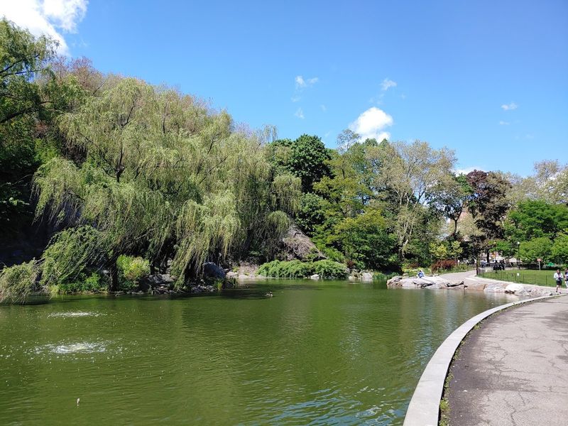 Morningside Park Waterfall