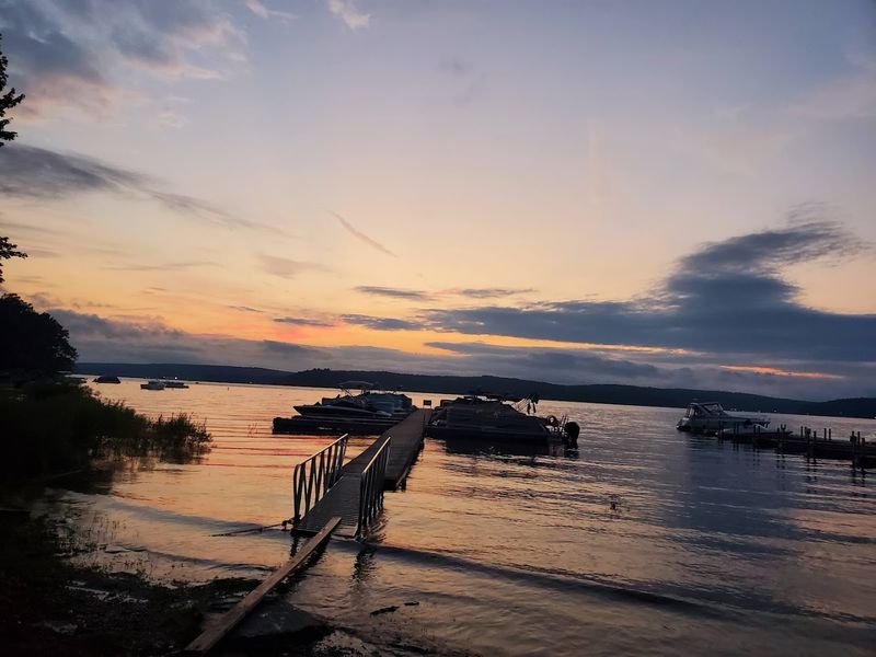 Pet-Friendly Rules And Amenities