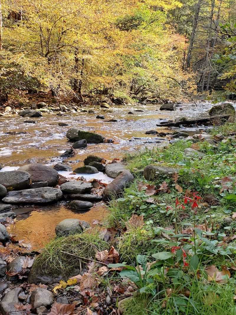 Swimming Holes That Cool Down Even The Hottest Summer Days