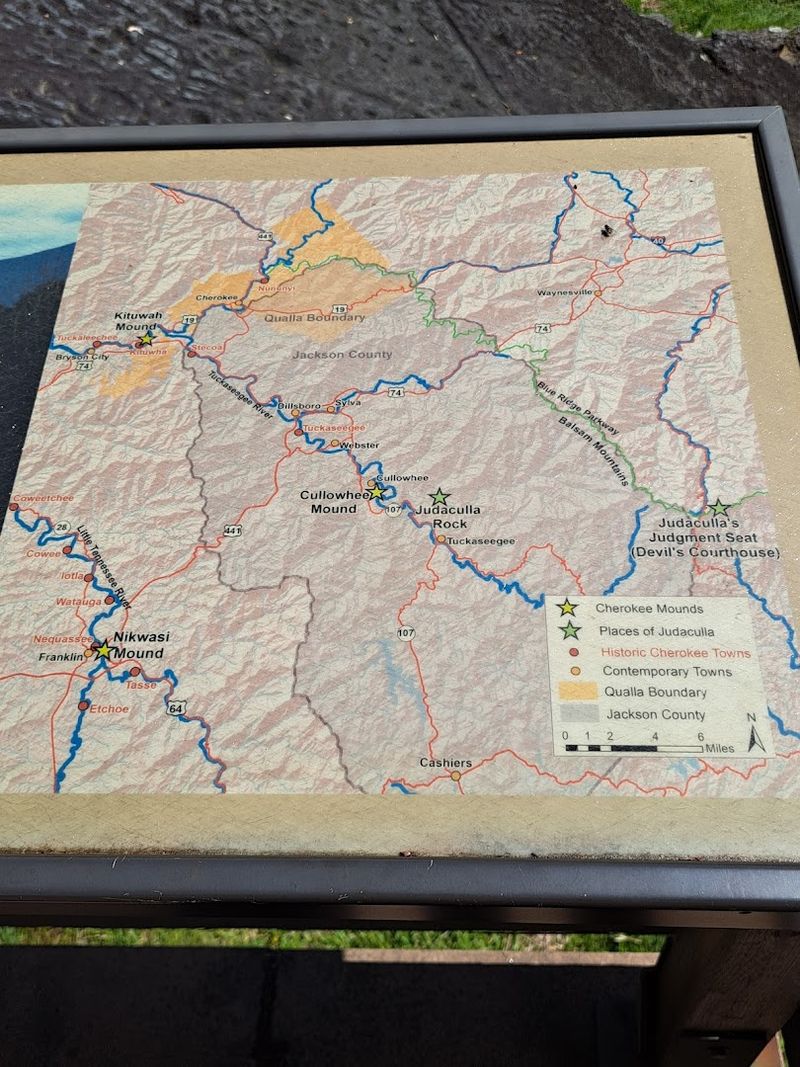 Wildlife Encounters Along The Path