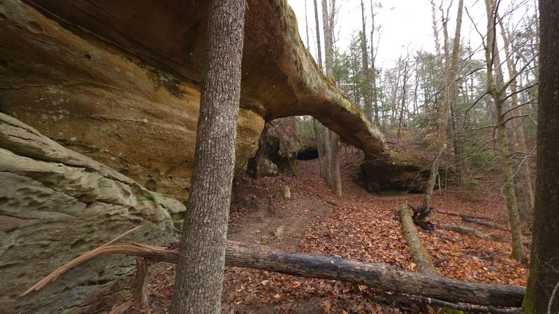 Pickett CCC Memorial State Park, Jamestown