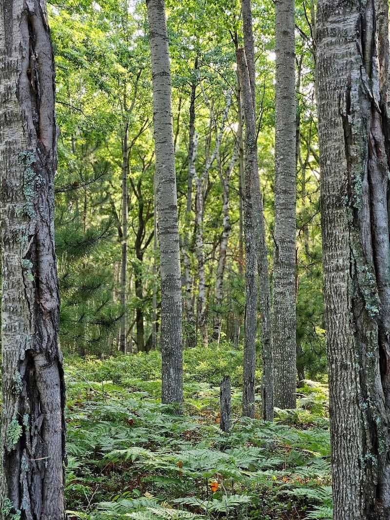 Nature Reveals Itself Around Every Corner