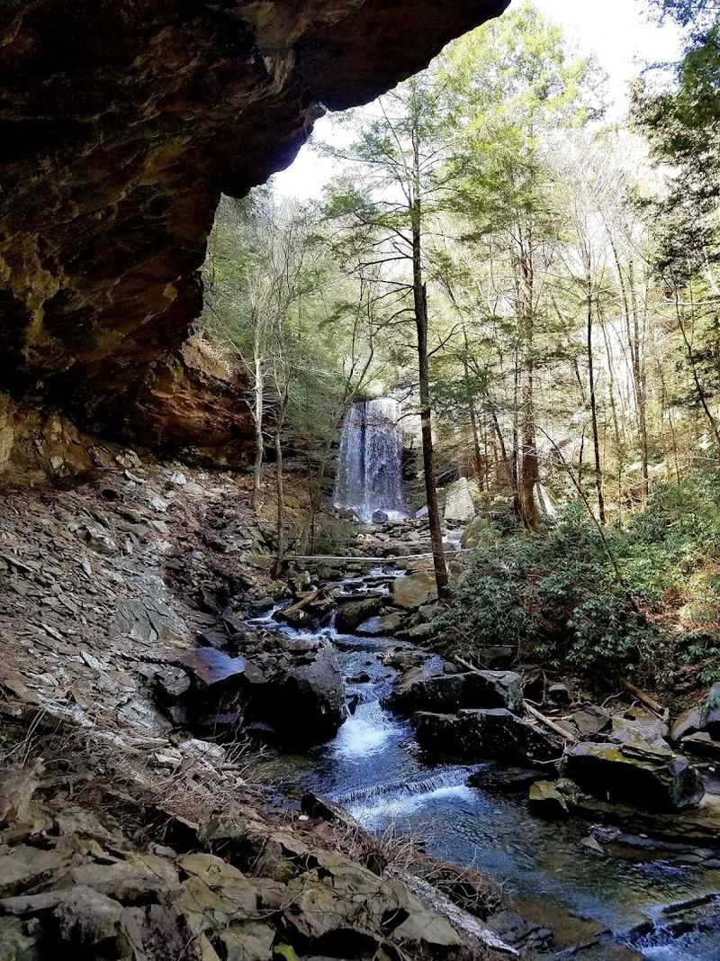 Suter Falls, Gruetli-Laager