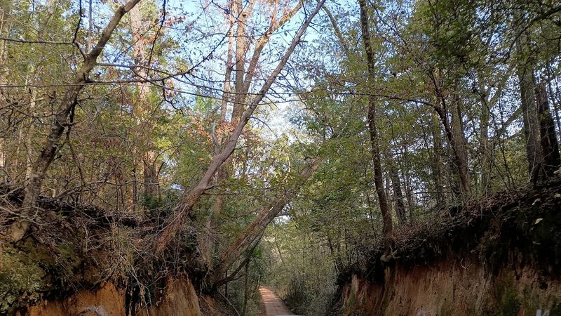 Old Stagecoach Road