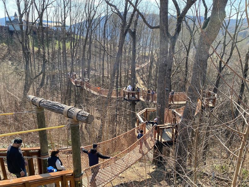 Why The Canopy Walk Feels Like A True Escape From Downtown Gatlinburg