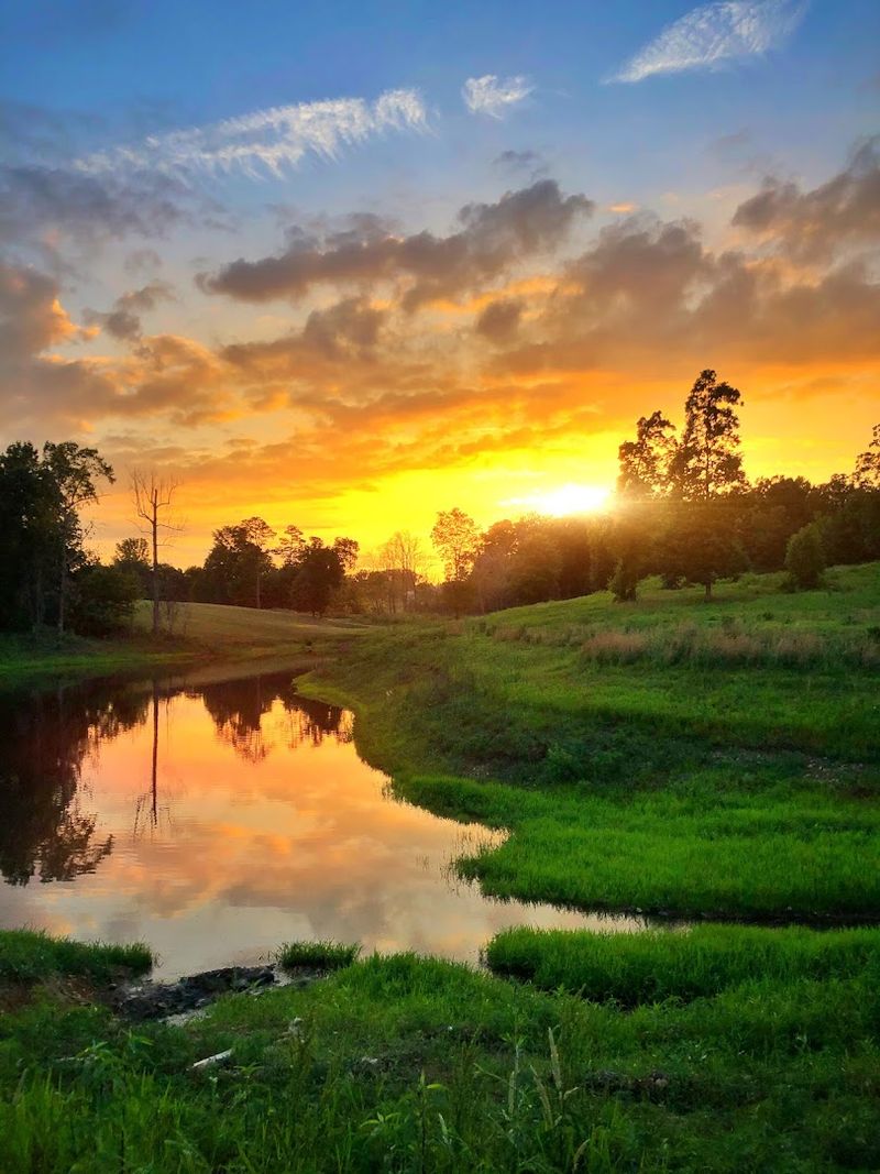 Walking And Hiking Trails That Reward The Adventurous