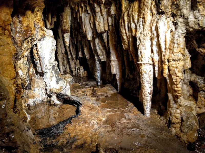 A Constant Underground Temperature Of Around 50 Degrees Year-Round