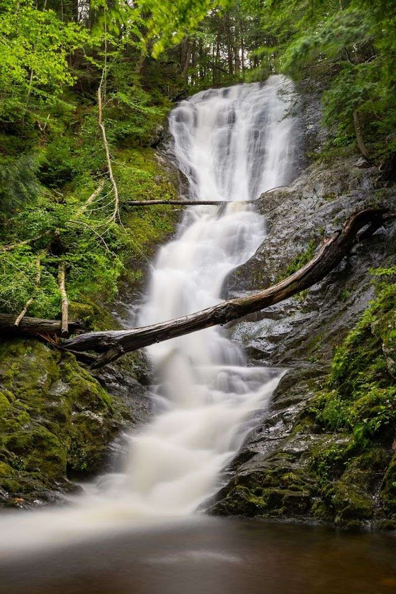 Tannery Falls, Savoy Mountain State Forest