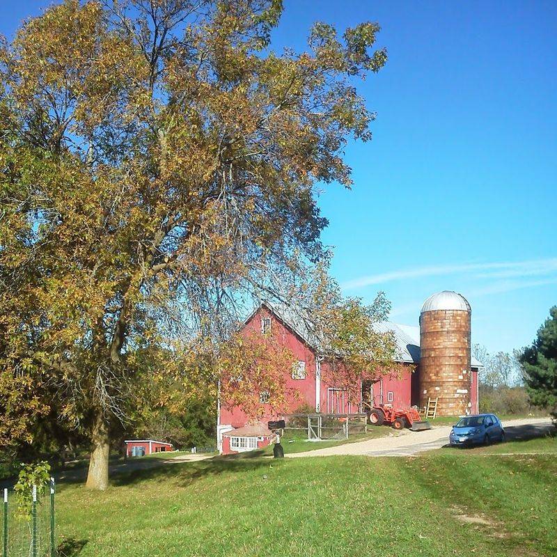 Campo Di Bella
