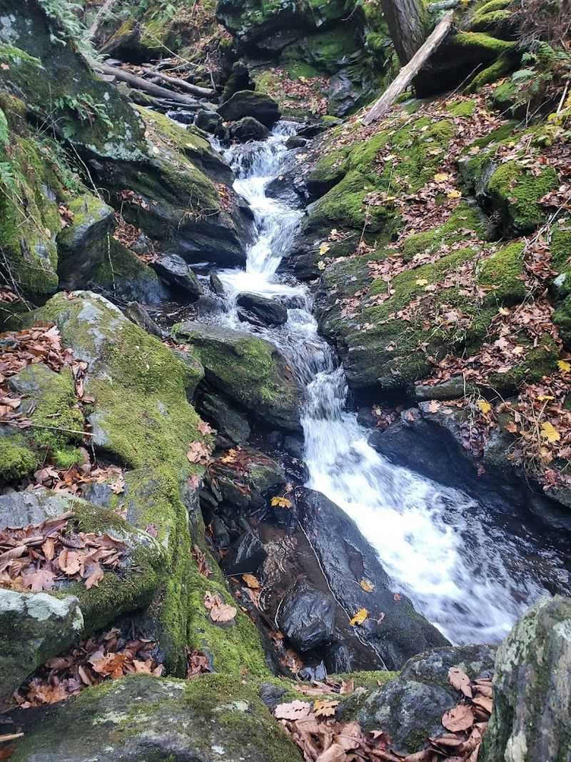 Three Trails With Three Very Different Personalities